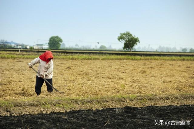 最新农村土地承包法重塑土地产权关系，推动农业现代化发展进程